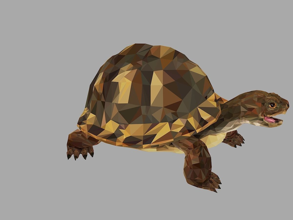 Reptile Turtle Low Polygon Art Animal Low-poly 3D model_27