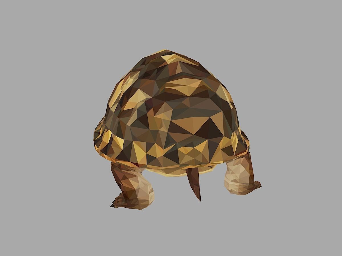 Reptile Turtle Low Polygon Art Animal Low-poly 3D model_16