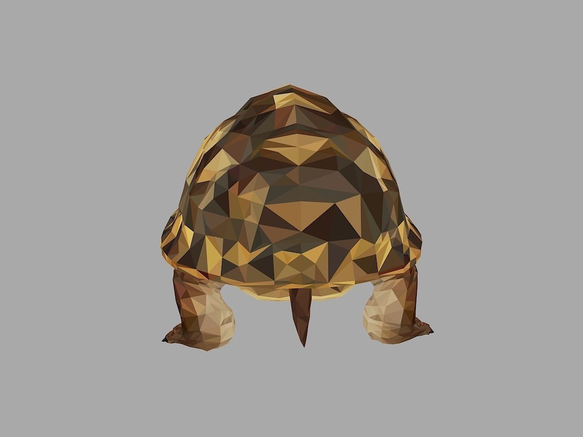 Reptile Turtle Low Polygon Art Animal Low-poly 3D model_19