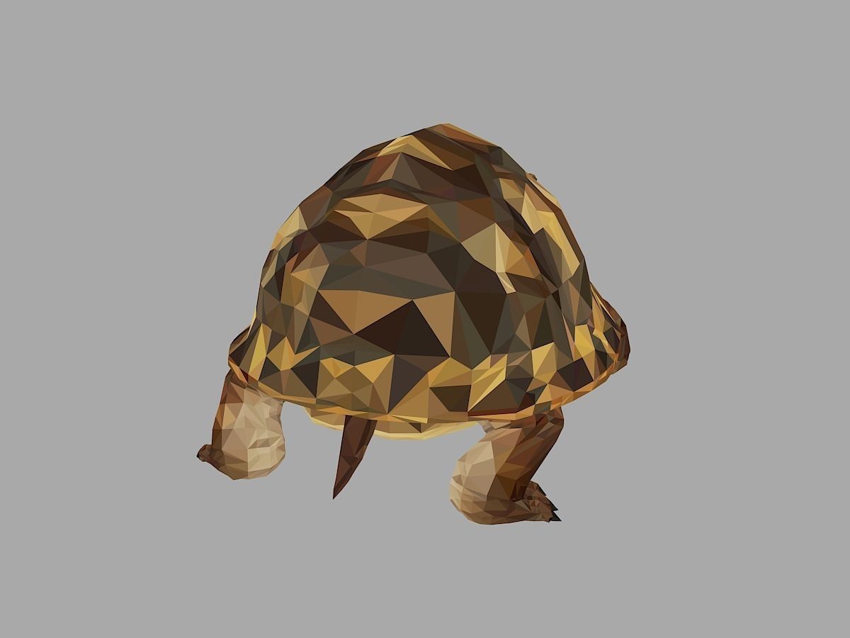 Reptile Turtle Low Polygon Art Animal Low-poly 3D model_22