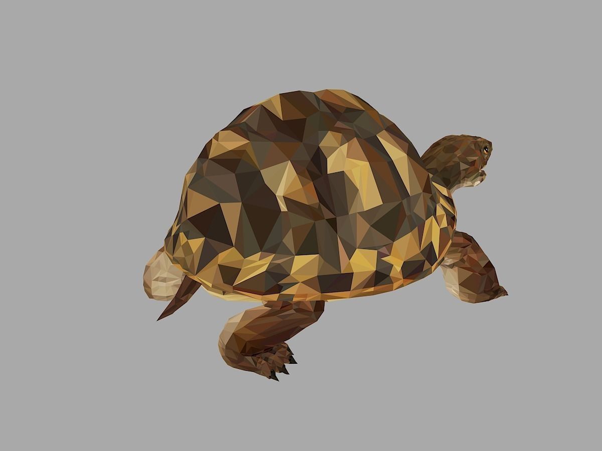 Reptile Turtle Low Polygon Art Animal Low-poly 3D model_21