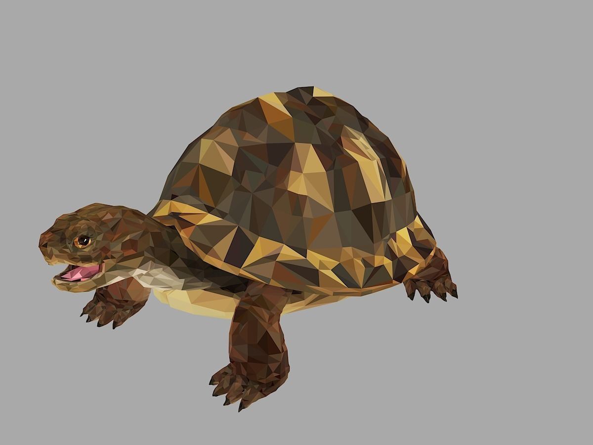 Reptile Turtle Low Polygon Art Animal Low-poly 3D model_9