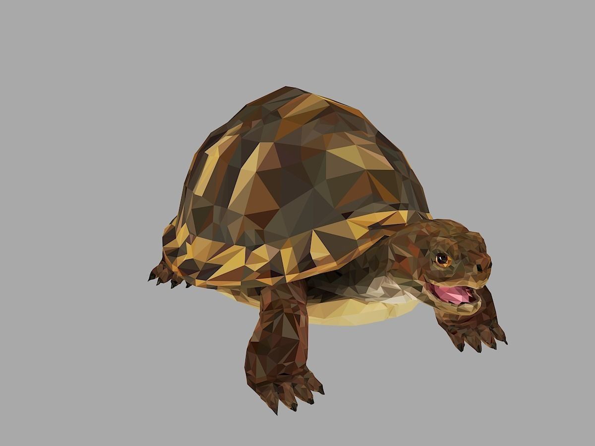 Reptile Turtle Low Polygon Art Animal Low-poly 3D model_1