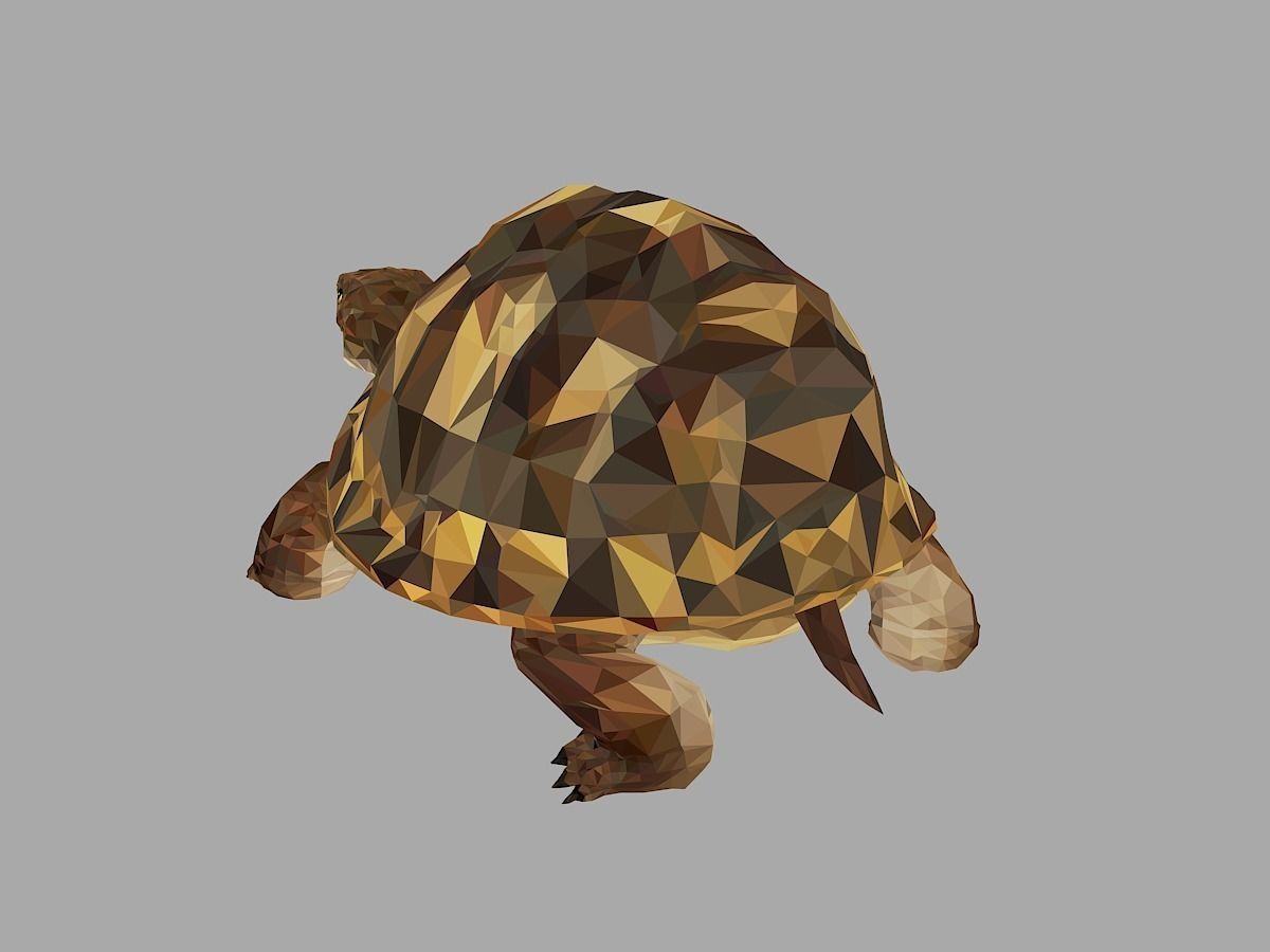 Reptile Turtle Low Polygon Art Animal Low-poly 3D model_14