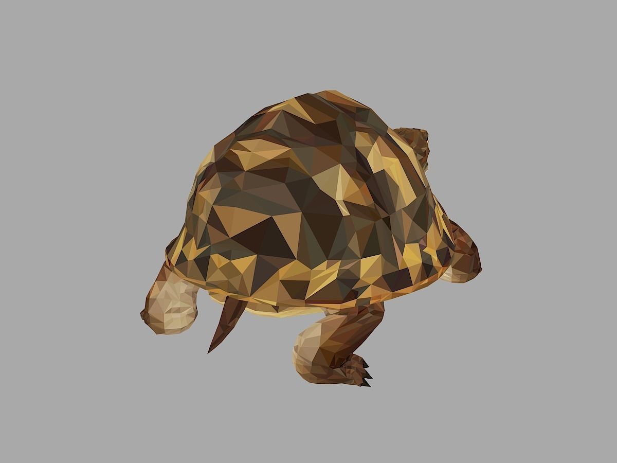 Reptile Turtle Low Polygon Art Animal Low-poly 3D model_24