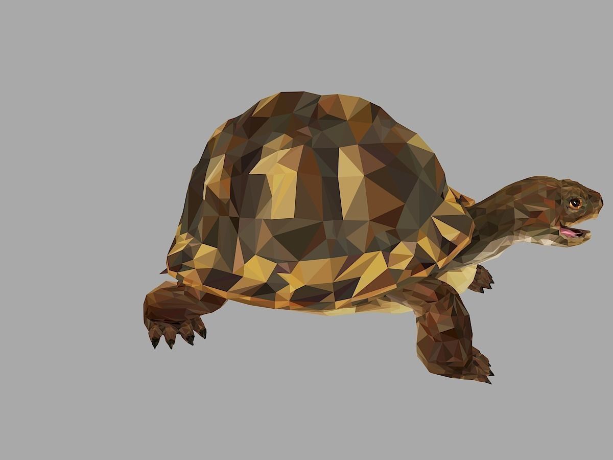 Reptile Turtle Low Polygon Art Animal Low-poly 3D model_28