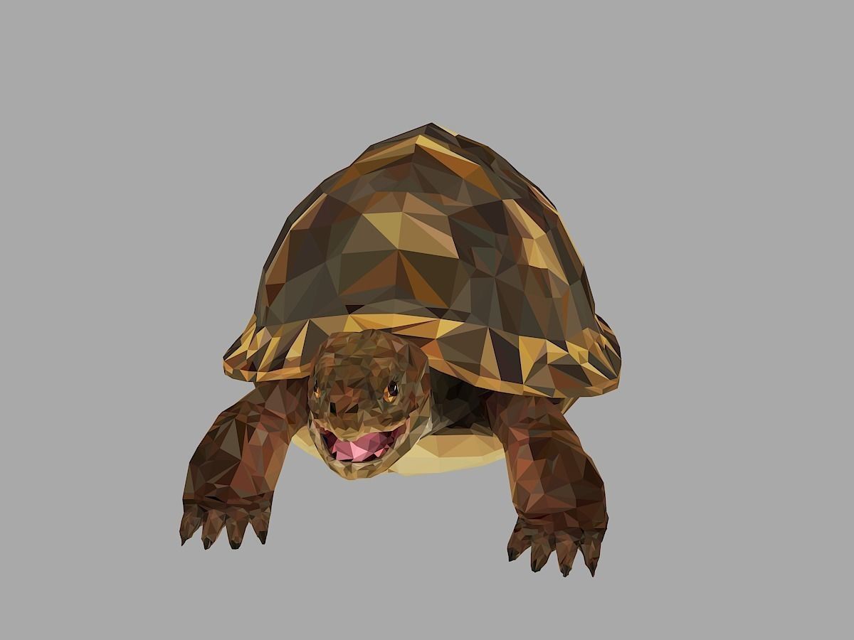 Reptile Turtle Low Polygon Art Animal Low-poly 3D model_2
