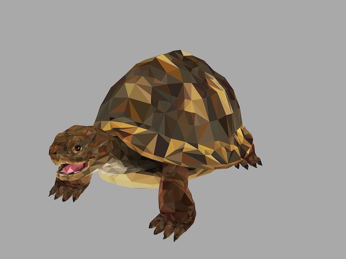 Reptile Turtle Low Polygon Art Animal Low-poly 3D model_6