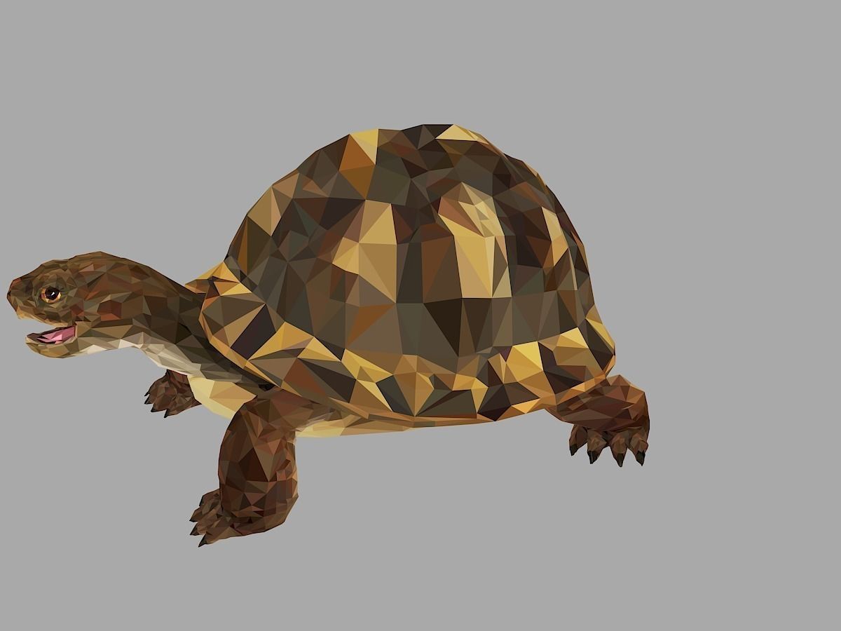 Reptile Turtle Low Polygon Art Animal Low-poly 3D model_10
