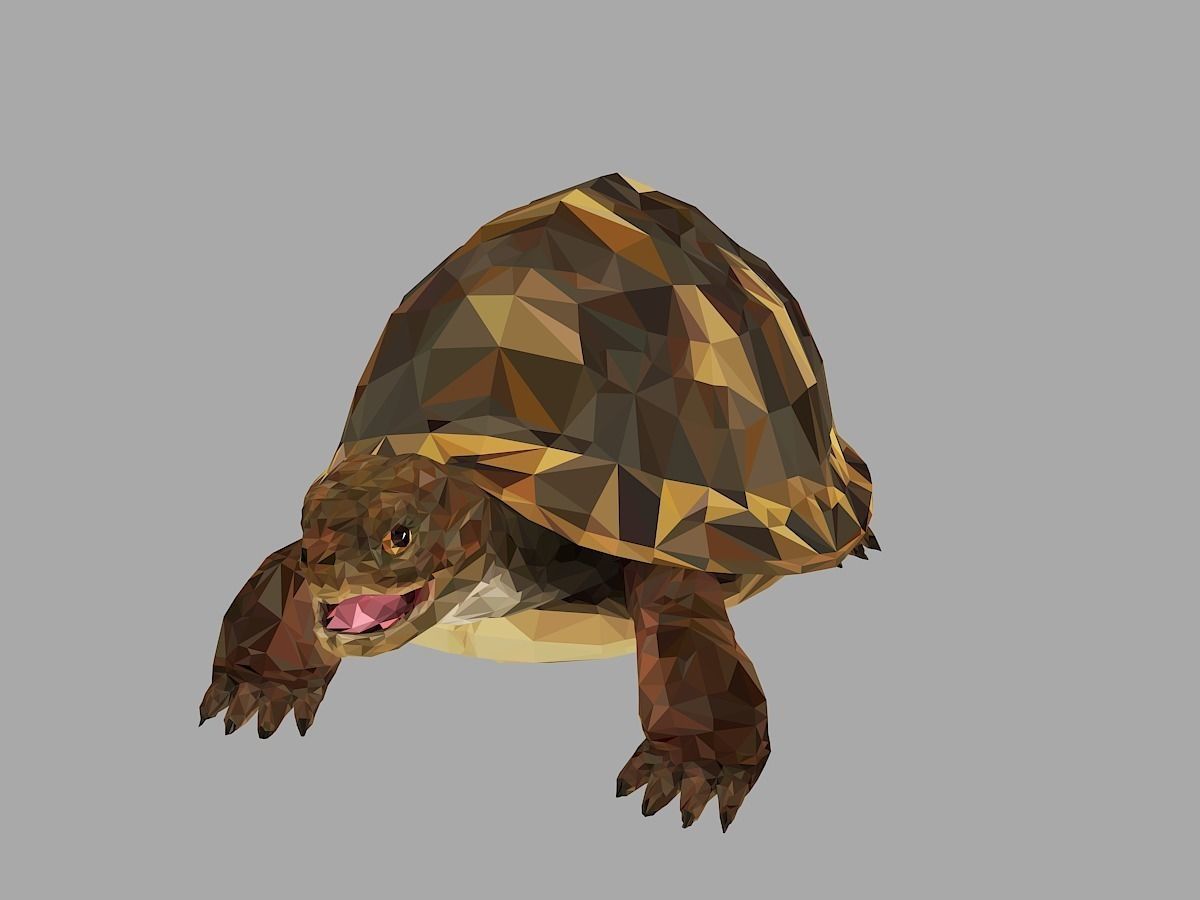 Reptile Turtle Low Polygon Art Animal Low-poly 3D model_3