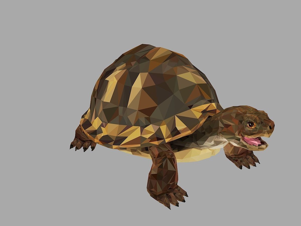 Reptile Turtle Low Polygon Art Animal Low-poly 3D model_29