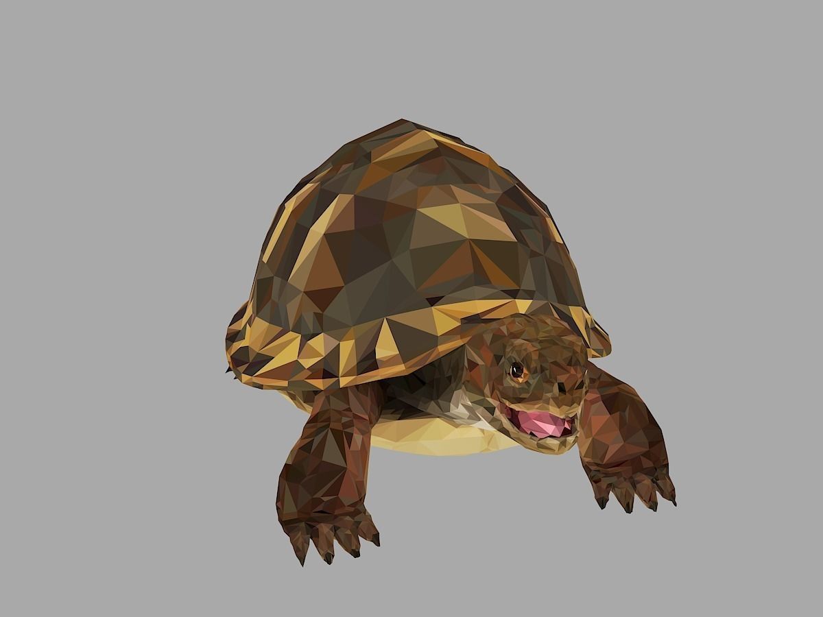 Reptile Turtle Low Polygon Art Animal Low-poly 3D model_5