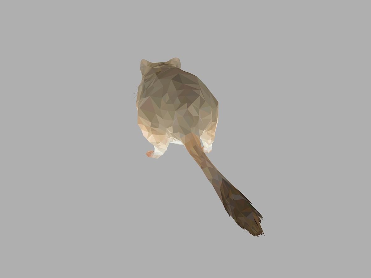 Grey Sand Mous Low Polygon Art  Animal Mouse Low-poly 3D model_17