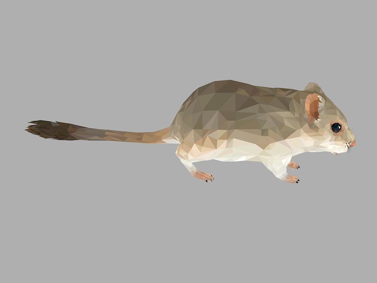 Grey Sand Mous Low Polygon Art  Animal Mouse Low-poly 3D model_26