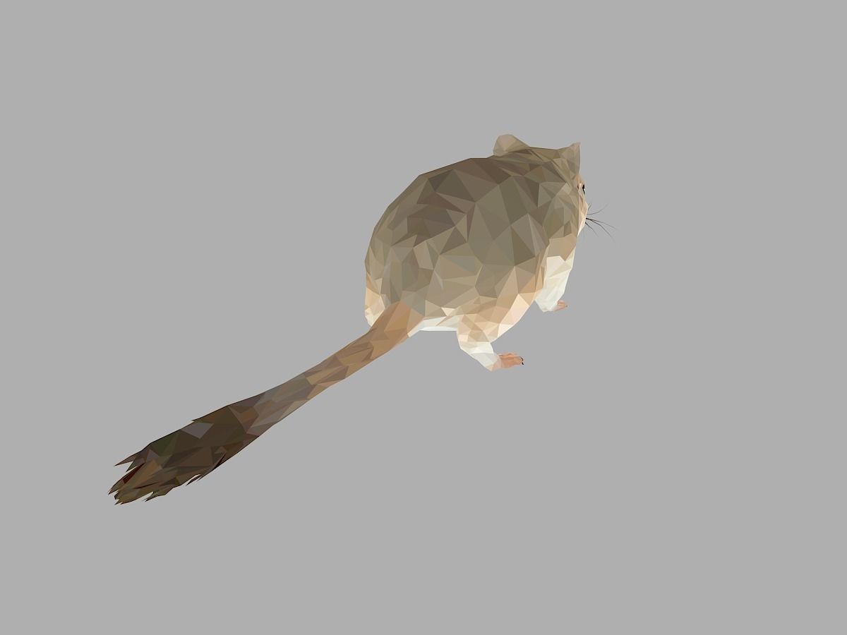 Grey Sand Mous Low Polygon Art  Animal Mouse Low-poly 3D model_21