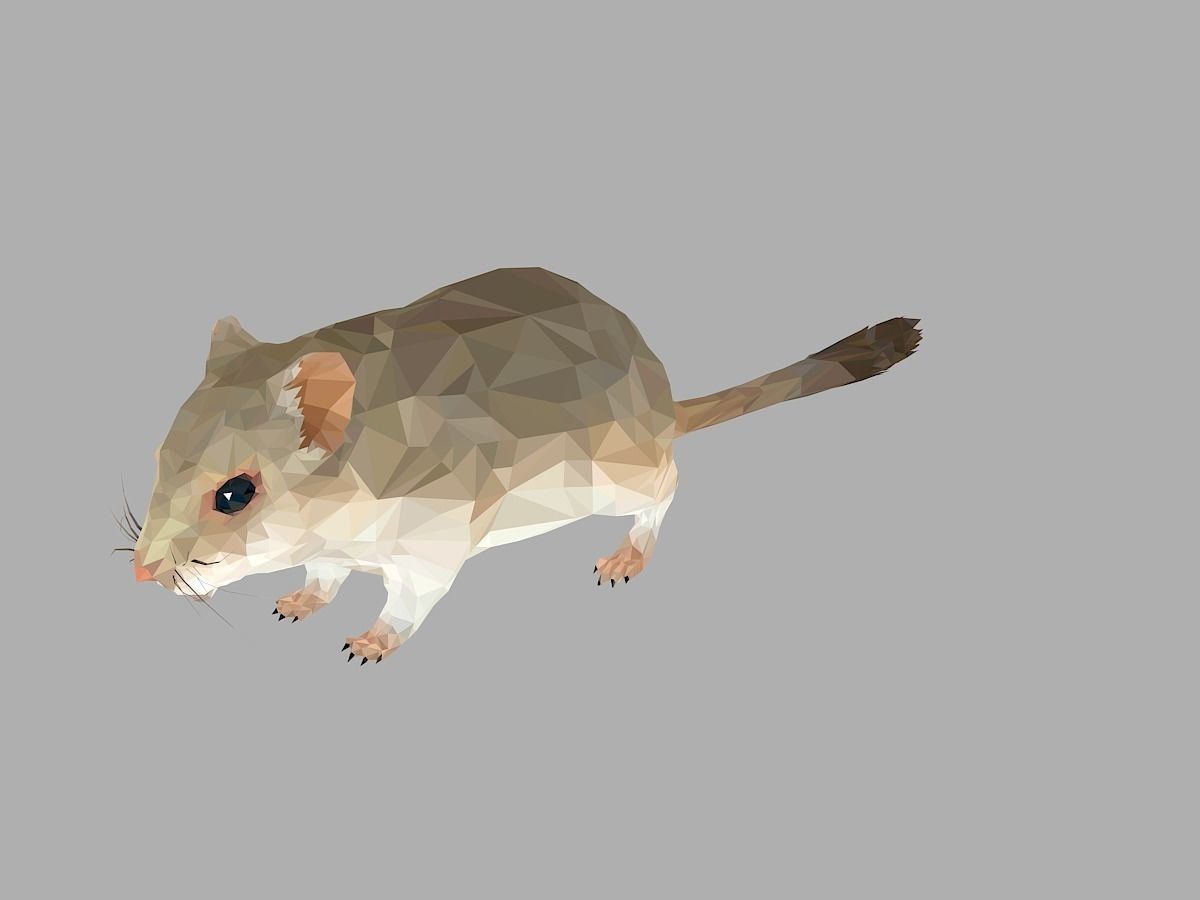 Grey Sand Mous Low Polygon Art  Animal Mouse Low-poly 3D model_7