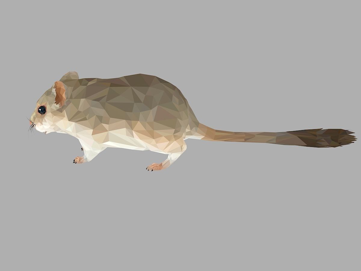 Grey Sand Mous Low Polygon Art  Animal Mouse Low-poly 3D model_11