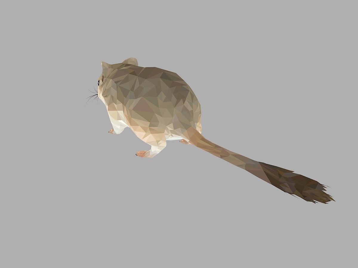 Grey Sand Mous Low Polygon Art  Animal Mouse Low-poly 3D model_15