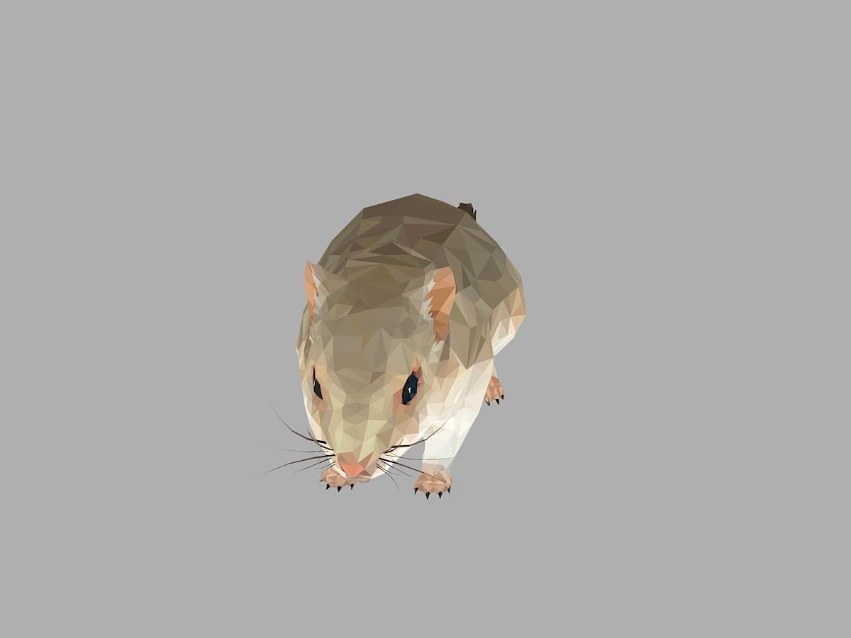 Grey Sand Mous Low Polygon Art  Animal Mouse Low-poly 3D model_5
