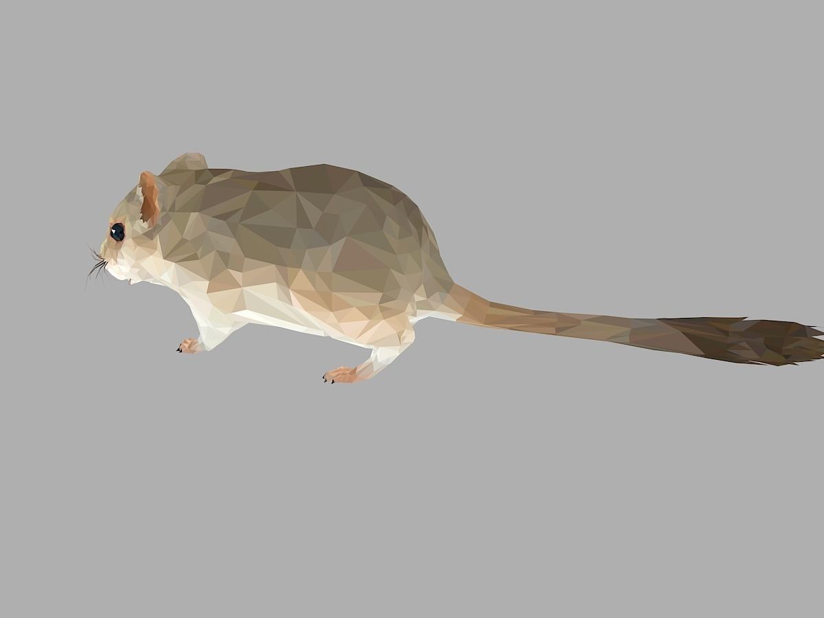 Grey Sand Mous Low Polygon Art  Animal Mouse Low-poly 3D model_9
