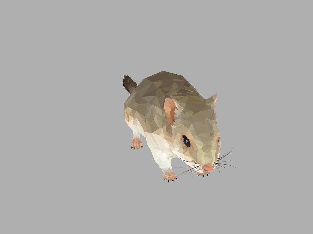 Grey Sand Mous Low Polygon Art  Animal Mouse Low-poly 3D model_2
