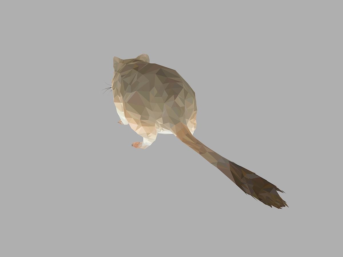 Grey Sand Mous Low Polygon Art  Animal Mouse Low-poly 3D model_19