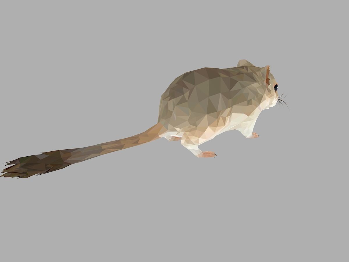 Grey Sand Mous Low Polygon Art  Animal Mouse Low-poly 3D model_24