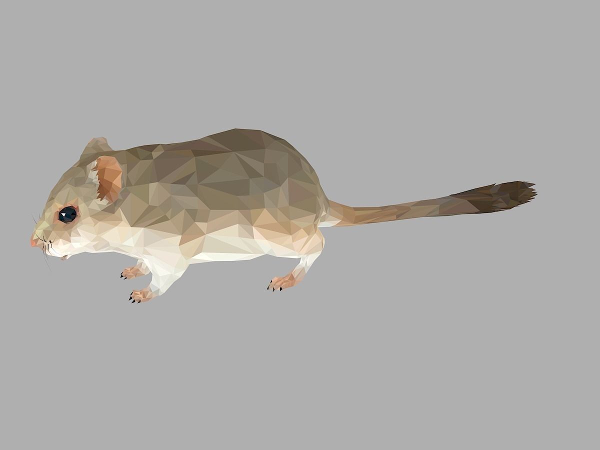 Grey Sand Mous Low Polygon Art  Animal Mouse Low-poly 3D model_10