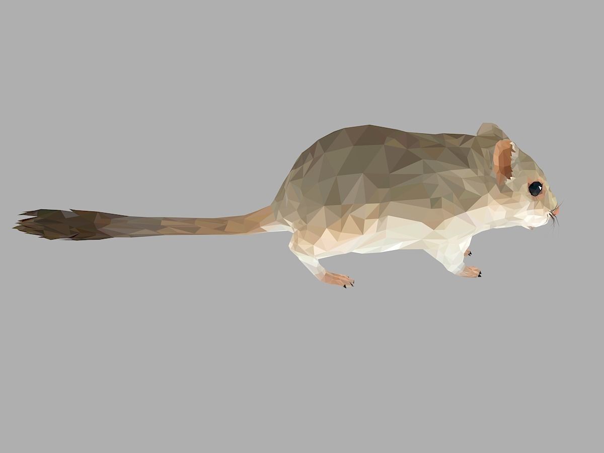 Grey Sand Mous Low Polygon Art  Animal Mouse Low-poly 3D model_27