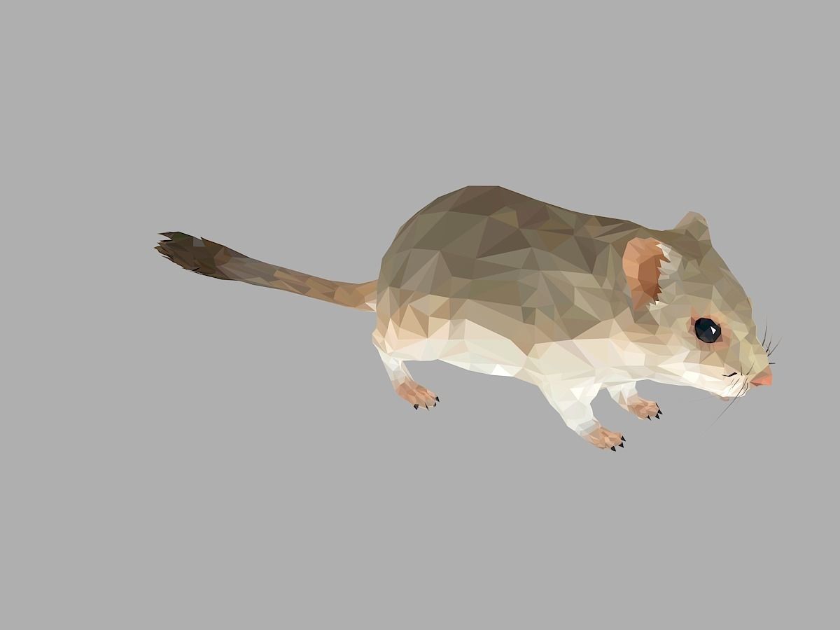Grey Sand Mous Low Polygon Art  Animal Mouse Low-poly 3D model_30