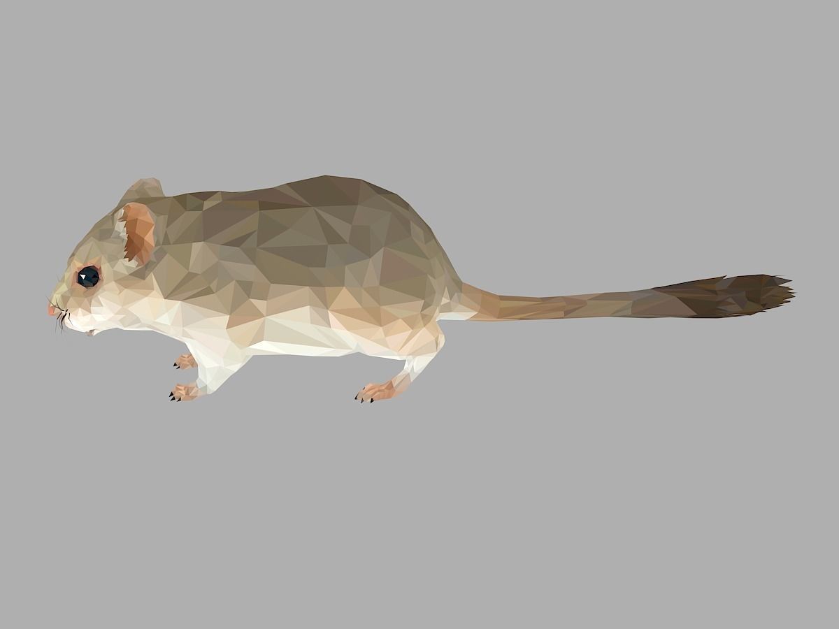 Grey Sand Mous Low Polygon Art  Animal Mouse Low-poly 3D model_12