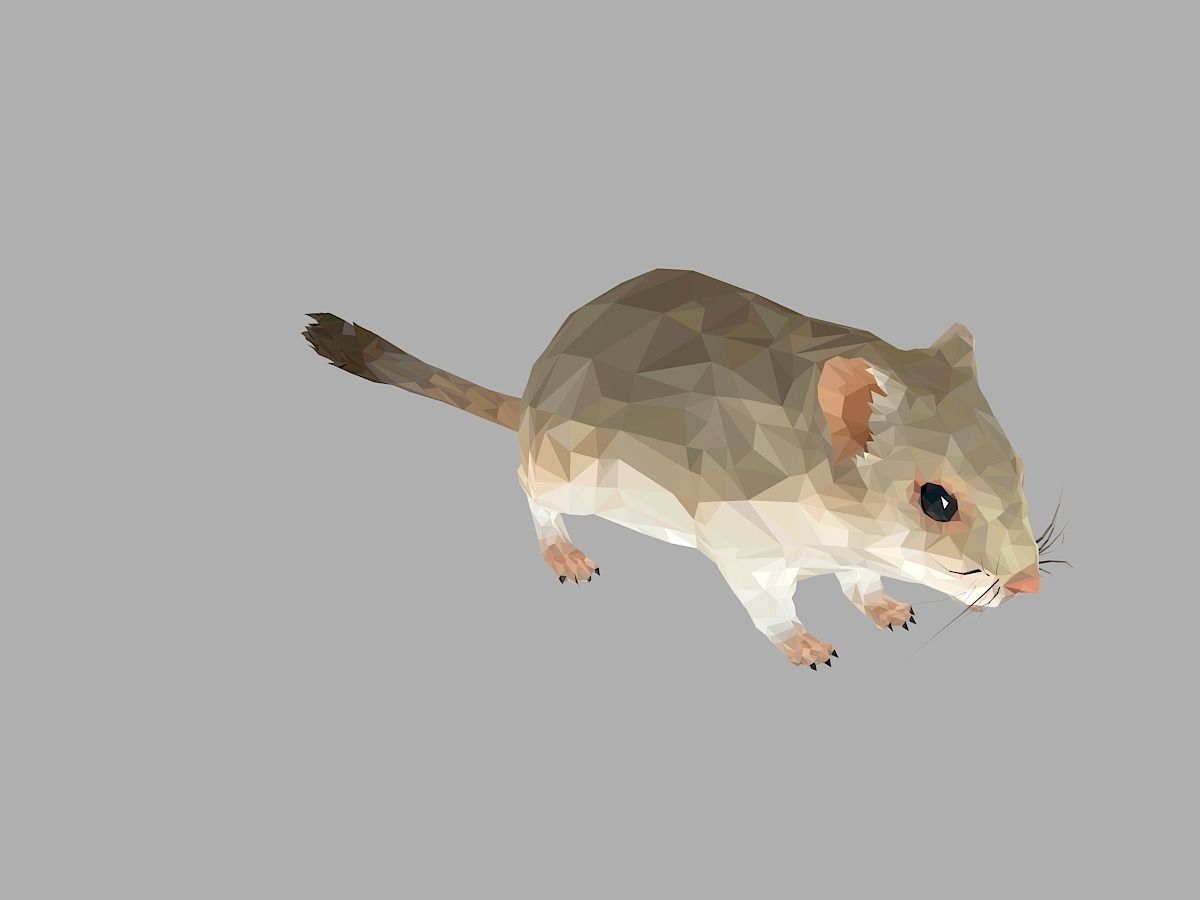 Grey Sand Mous Low Polygon Art  Animal Mouse Low-poly 3D model_29