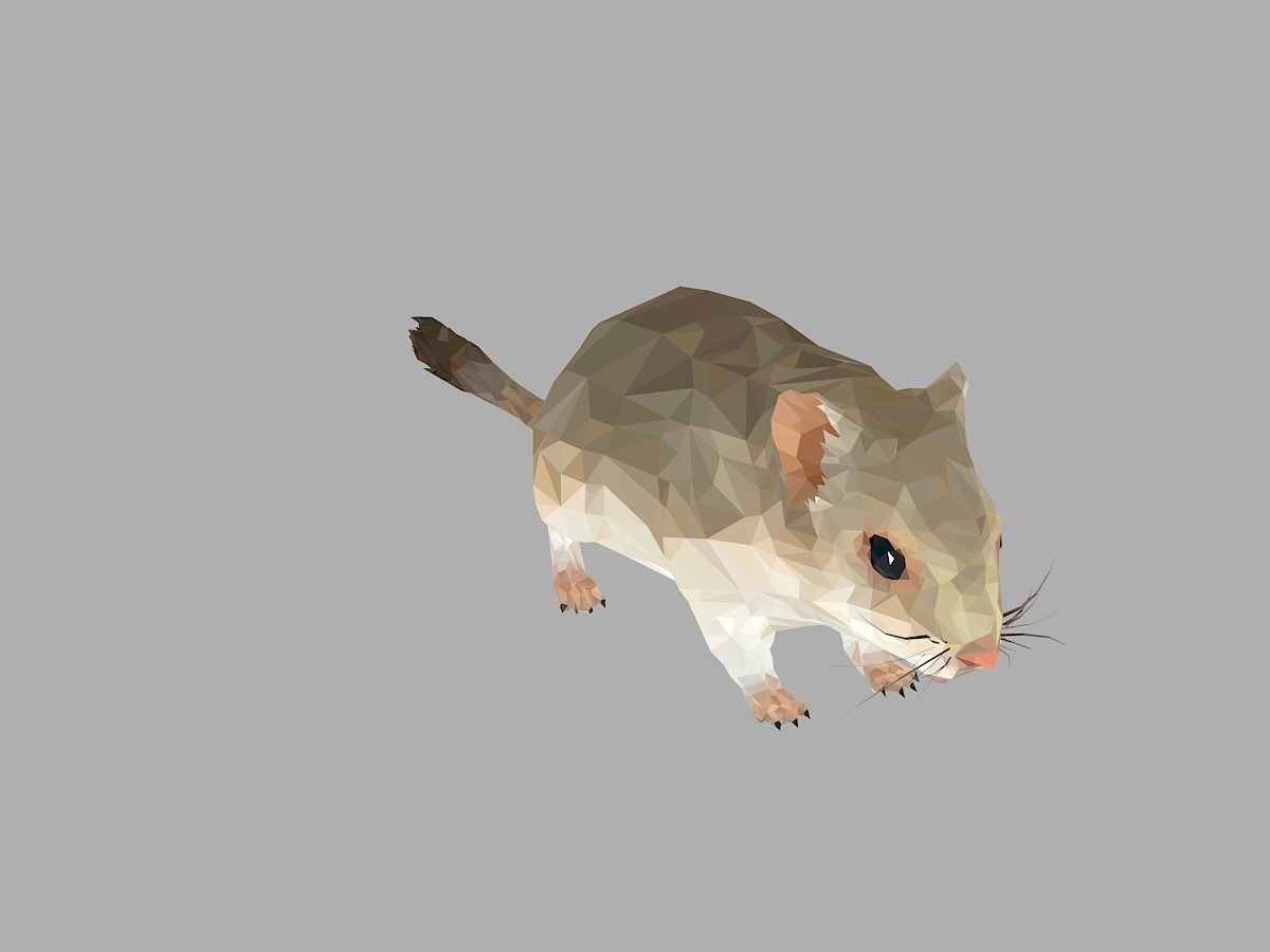 Grey Sand Mous Low Polygon Art  Animal Mouse Low-poly 3D model_1