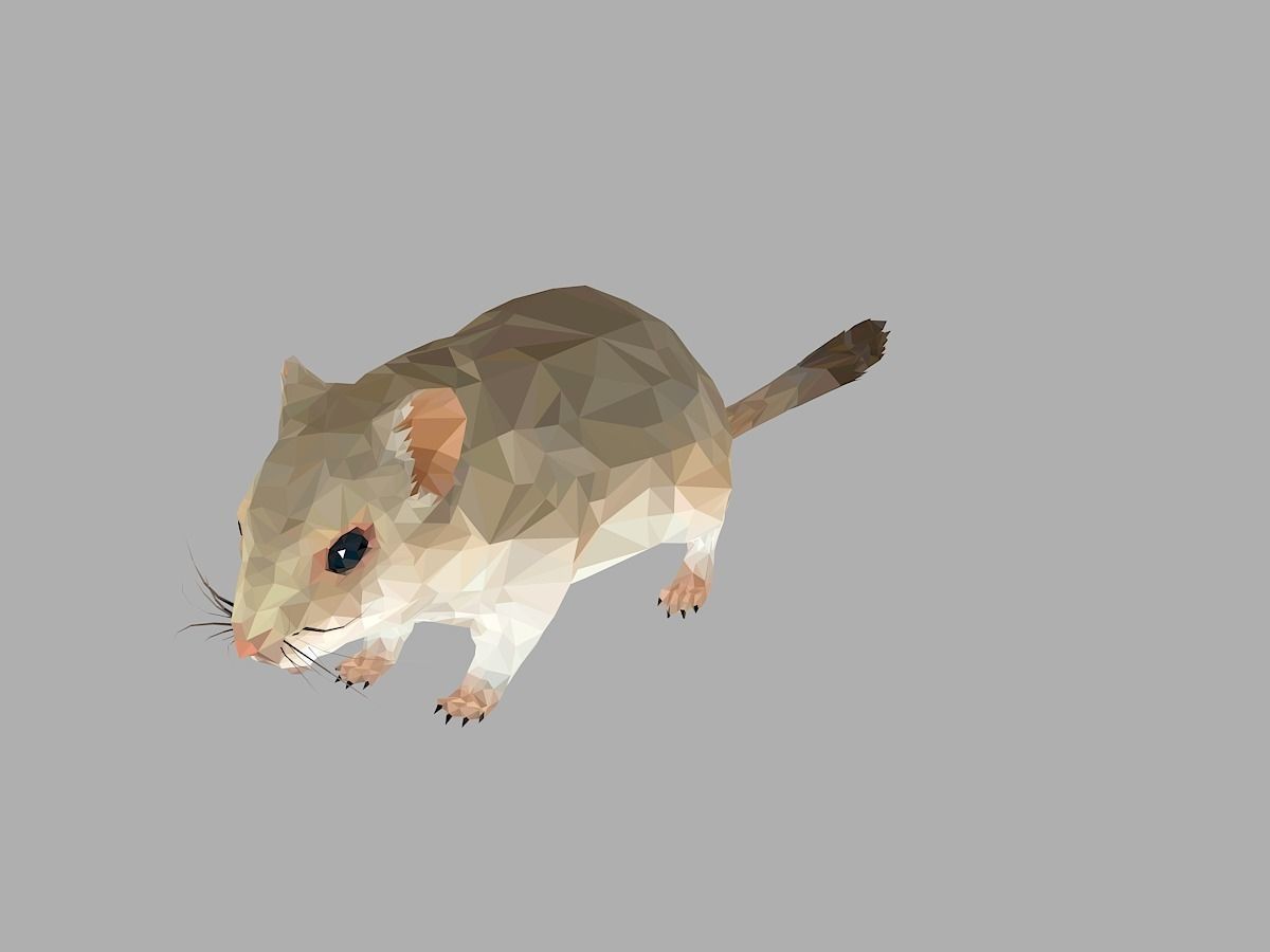 Grey Sand Mous Low Polygon Art  Animal Mouse Low-poly 3D model_6