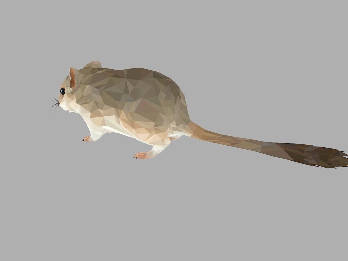 Grey Sand Mous Low Polygon Art  Animal Mouse Low-poly 3D model_13