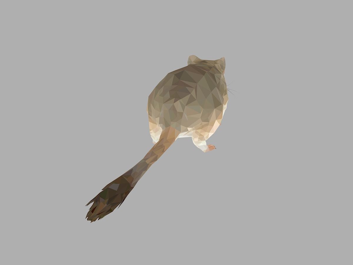 Grey Sand Mous Low Polygon Art  Animal Mouse Low-poly 3D model_20