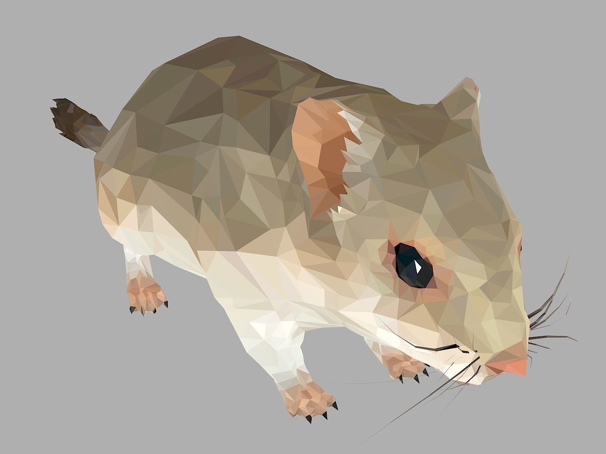 Grey Sand Mous Low Polygon Art  Animal Mouse Low-poly 3D model_0