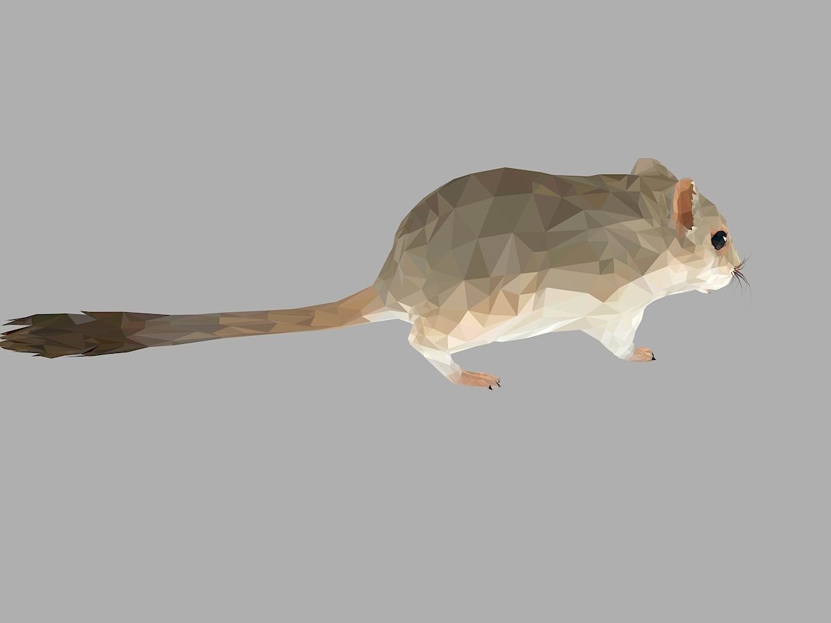 Grey Sand Mous Low Polygon Art  Animal Mouse Low-poly 3D model_25