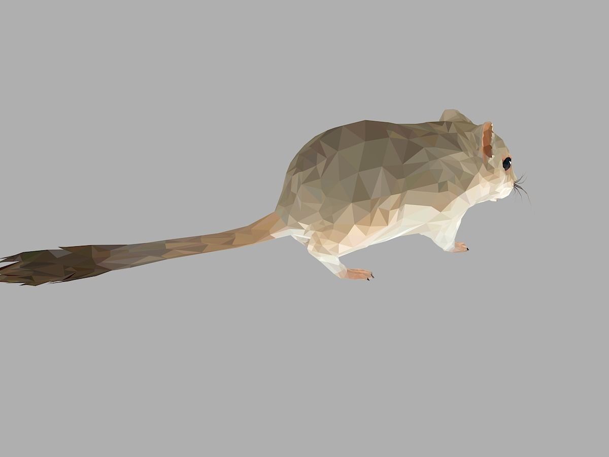 Grey Sand Mous Low Polygon Art  Animal Mouse Low-poly 3D model_22