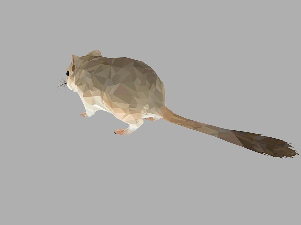 Grey Sand Mous Low Polygon Art  Animal Mouse Low-poly 3D model_14