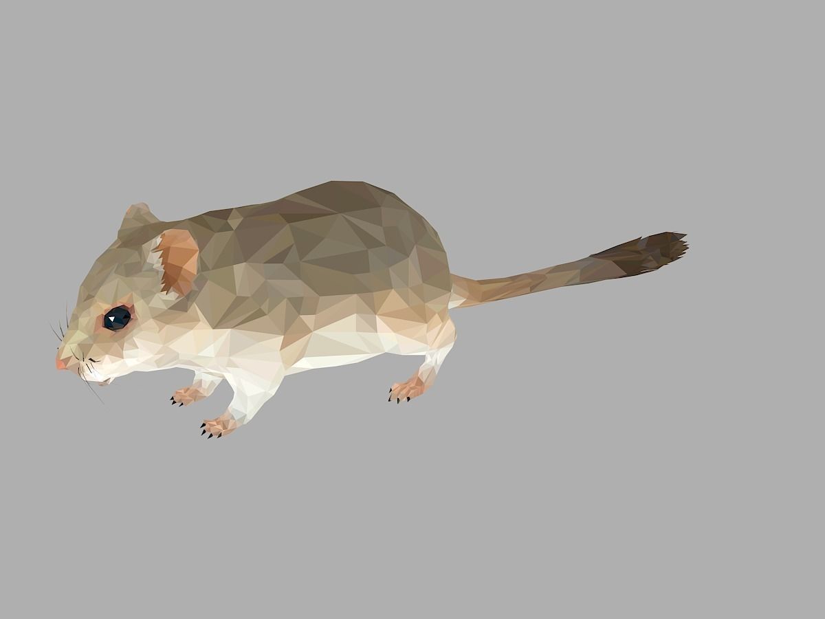 Grey Sand Mous Low Polygon Art  Animal Mouse Low-poly 3D model_8