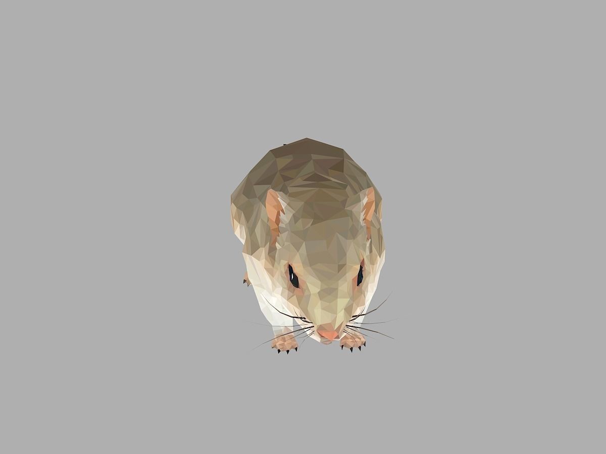 Grey Sand Mous Low Polygon Art  Animal Mouse Low-poly 3D model_3