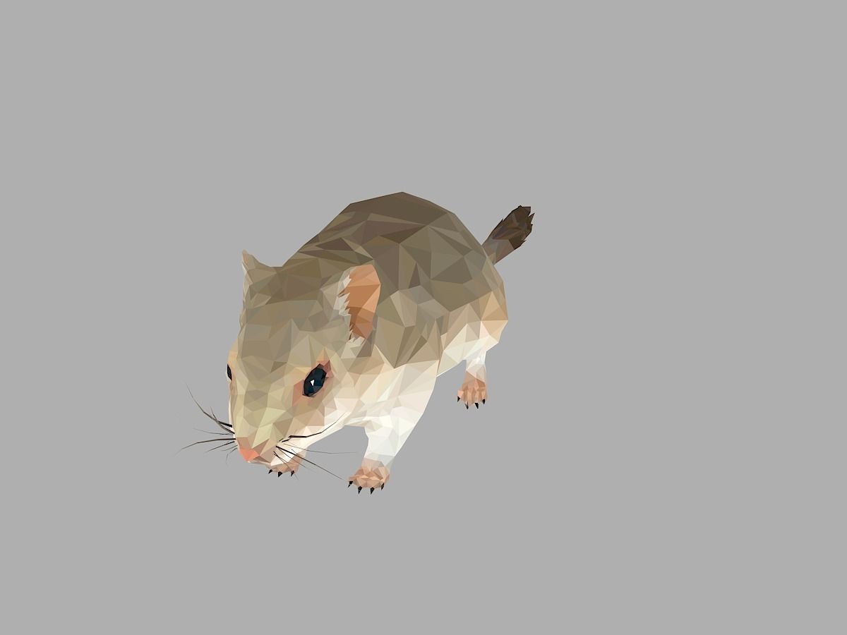 Grey Sand Mous Low Polygon Art  Animal Mouse Low-poly 3D model_4