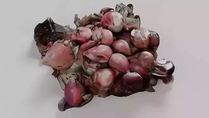 Surreal Red Shallots Cluster