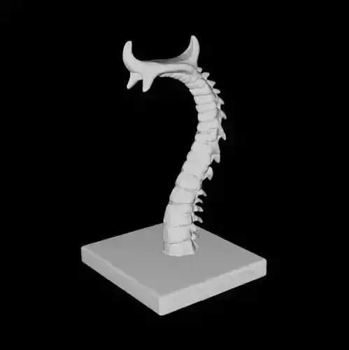 Bone Spine Headphone Stand Printable Unscaled 3D Model