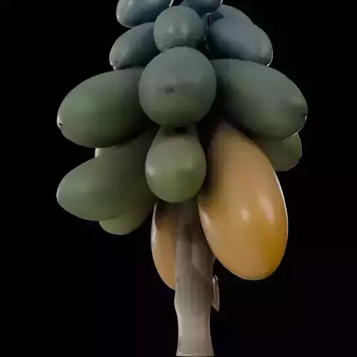 Realistic Hanging Papayas 3D model 5