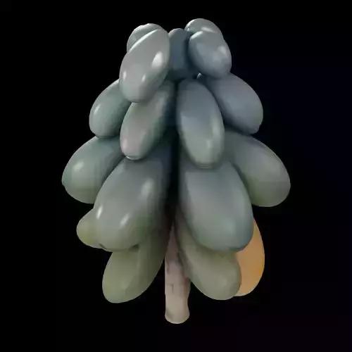Realistic Hanging Papayas 3D model 4