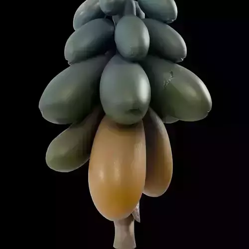 Realistic Hanging Papayas 3D model 6