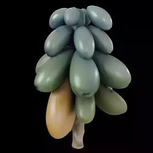 Realistic Hanging Papayas 3D model 3