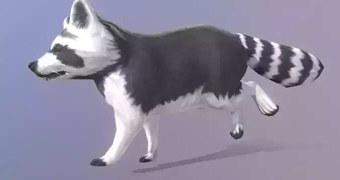 LITTLE RACOON JUNGLE RUN Pbr Fbx Animated